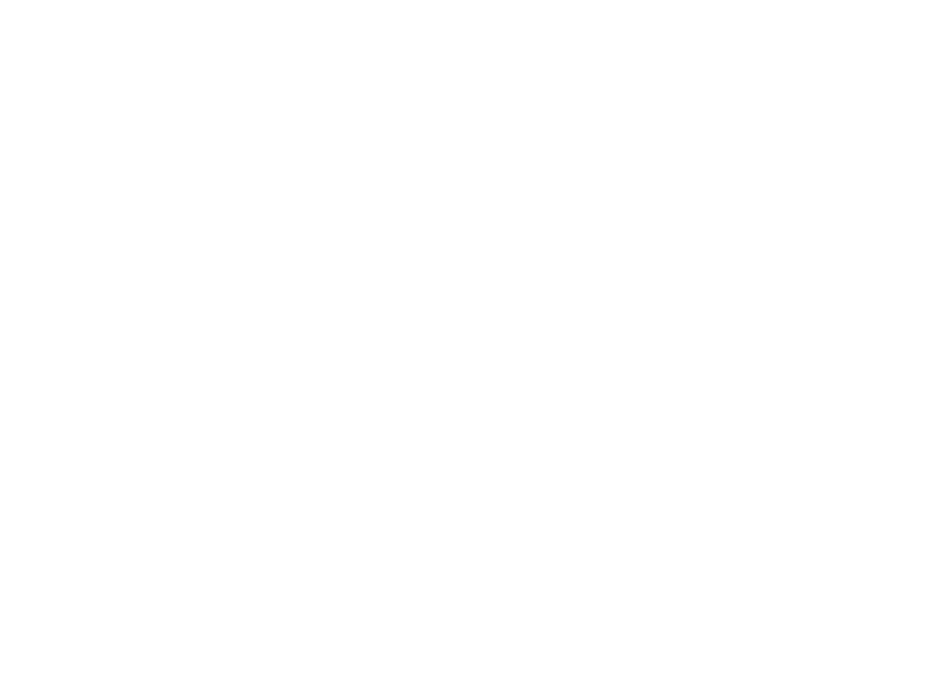 graphisches Element: Pinselschwünge